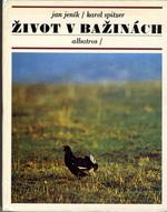 ŽIVOT V BAŽINÁCH